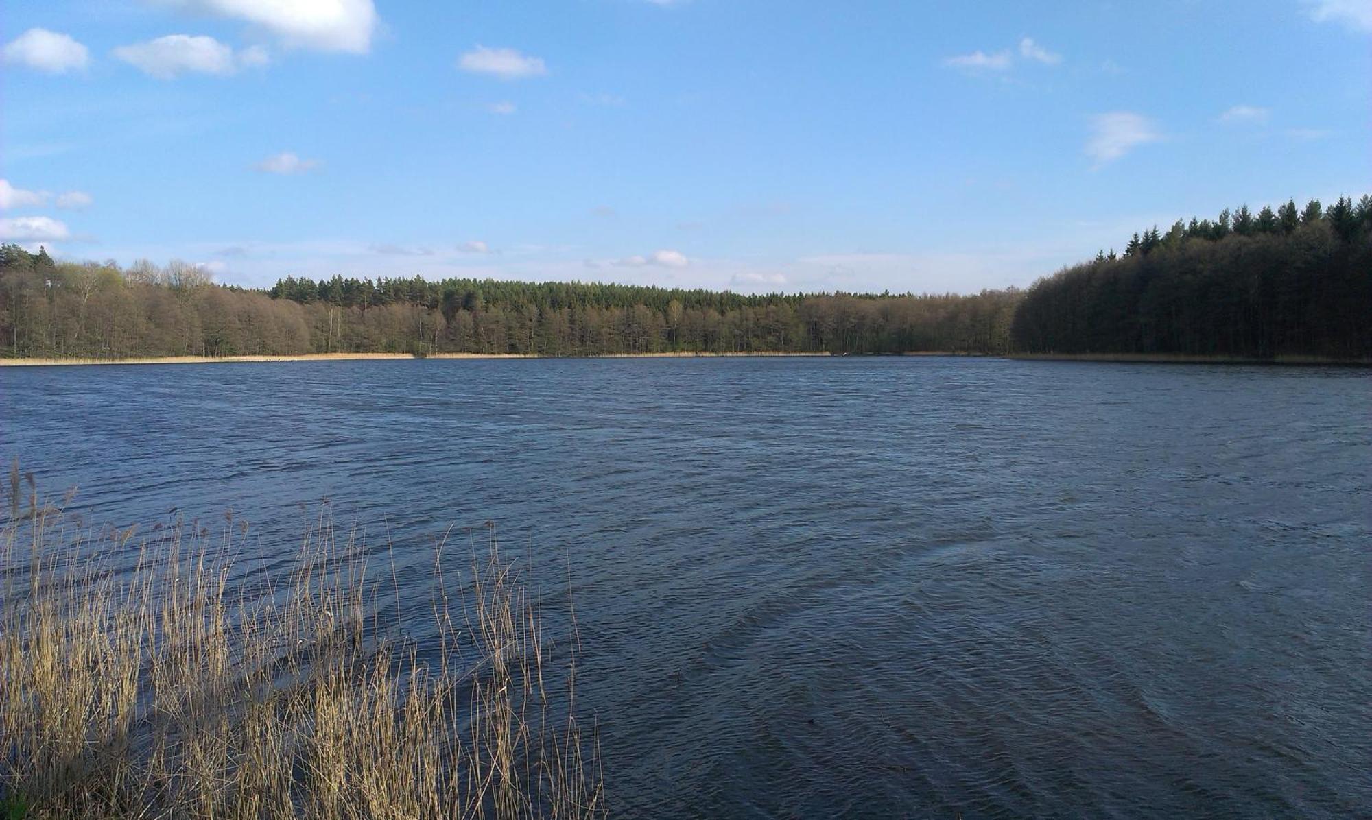 Agro-Tur Domki W Szuwarach Kuty Номер фото