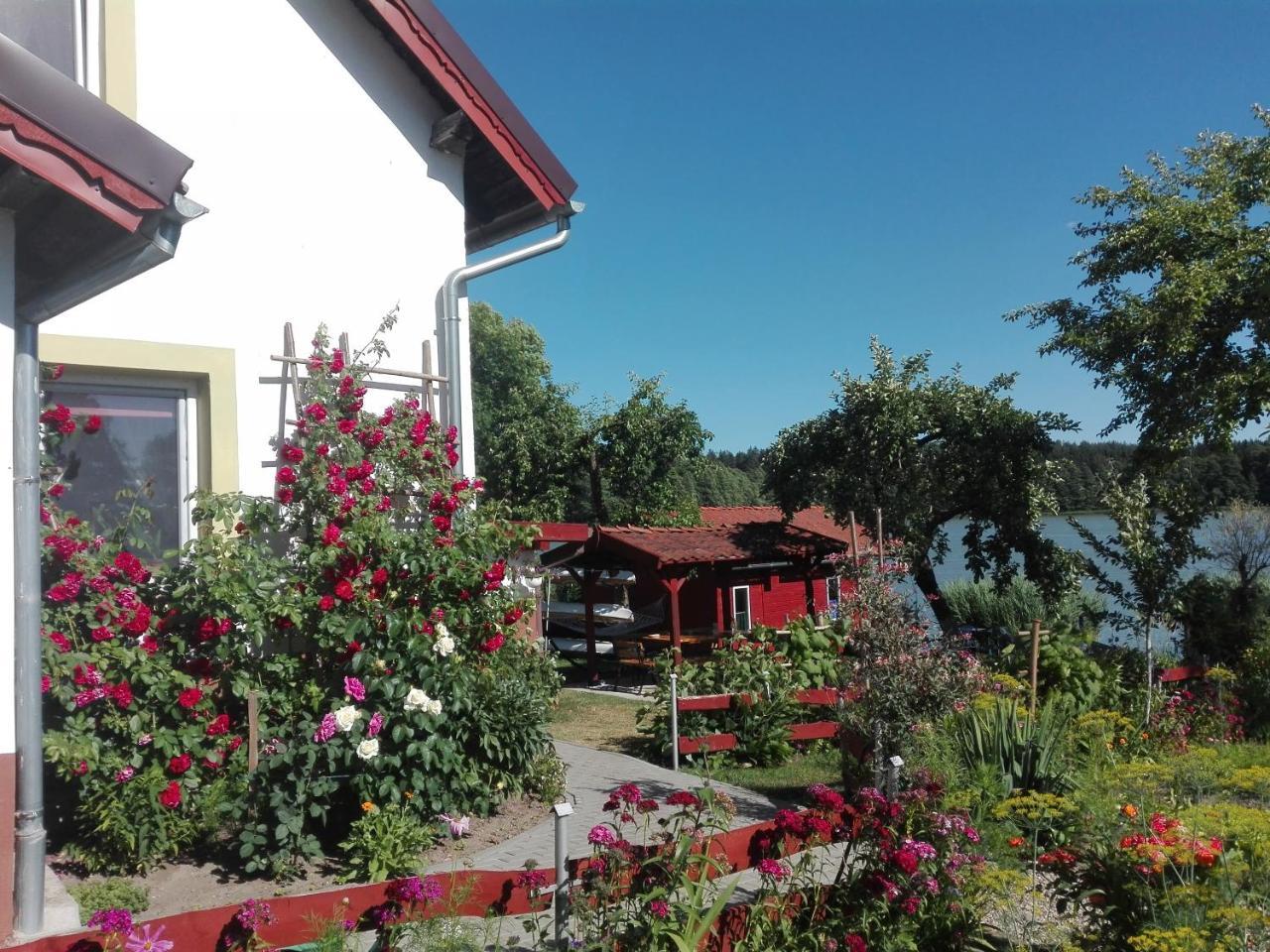 Agro-Tur Domki W Szuwarach Kuty Экстерьер фото